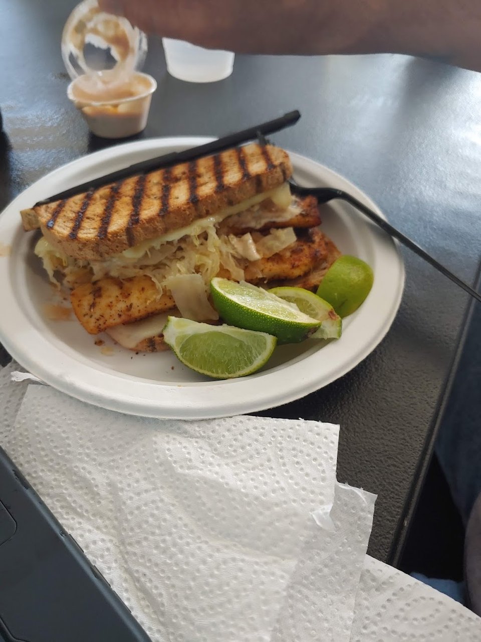 Grilled Dolphin Sandwich